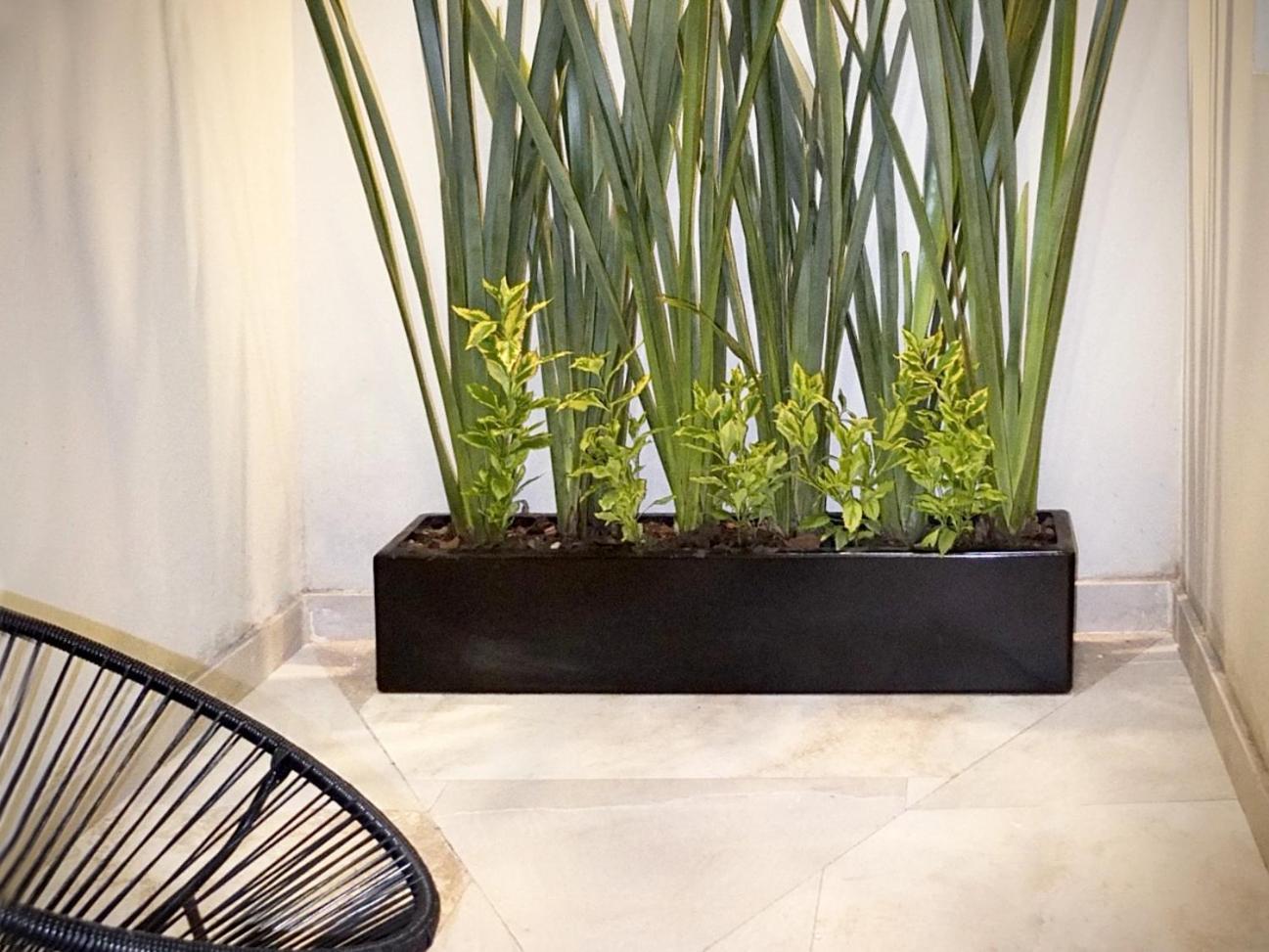 Flats Friends Condesa-Pelotari Apartment เม็กซิโกซิตี้ ห้อง รูปภาพ